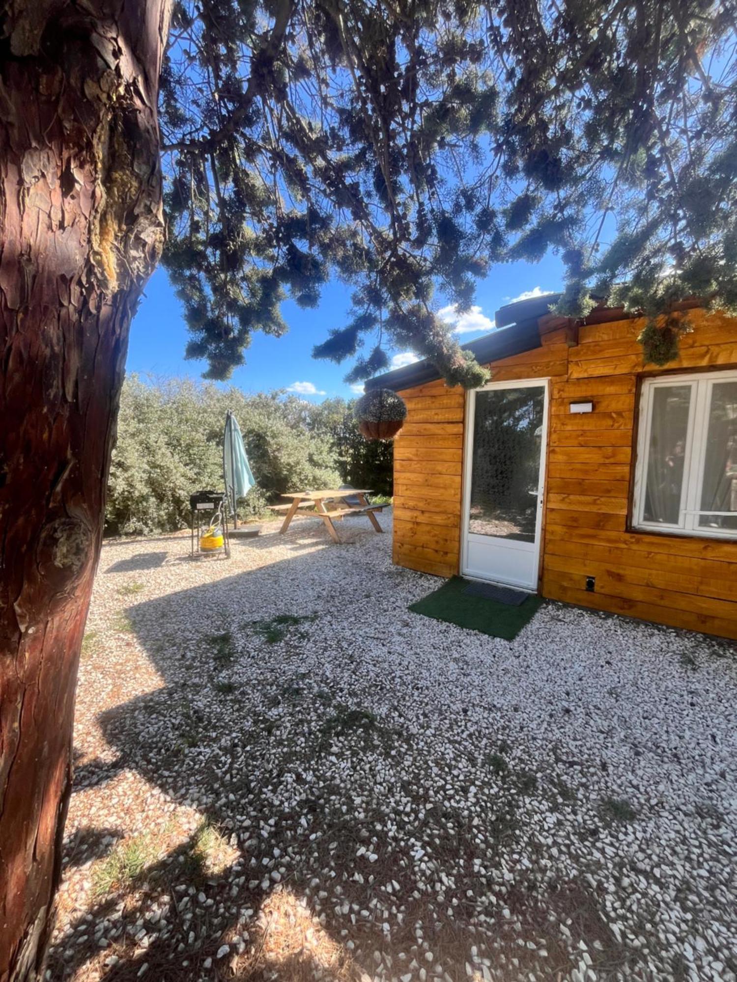 Location T3 Jardin Avec Piscine Villa Meze Exterior photo